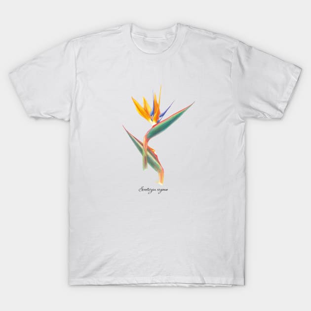 Colorful Bird of Paradise T-Shirt by VeraAlmeida